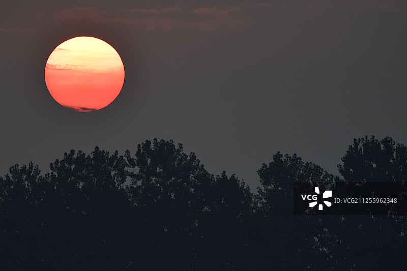 日出，湖北石首天鹅洲麋鹿国家级自然保护区图片素材