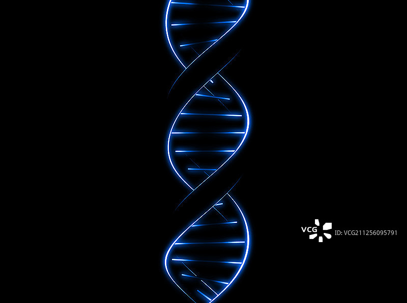 DNA图片素材