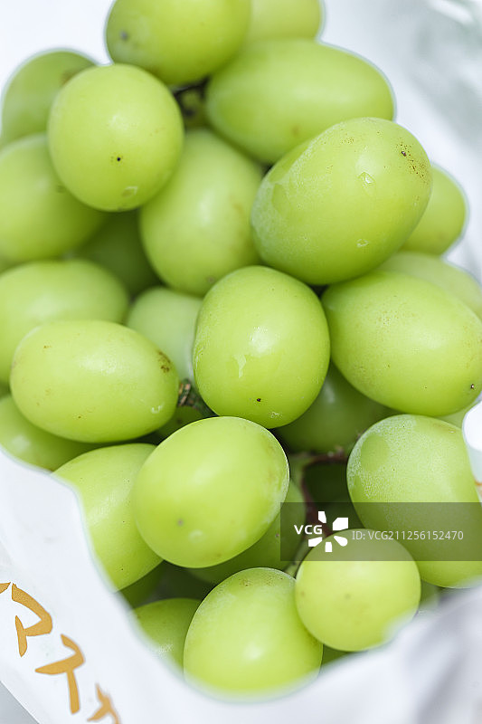 一串新鲜的阳光玫瑰青提葡萄图片素材