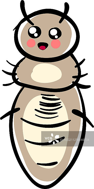 白色背景上的可爱虱子图片素材