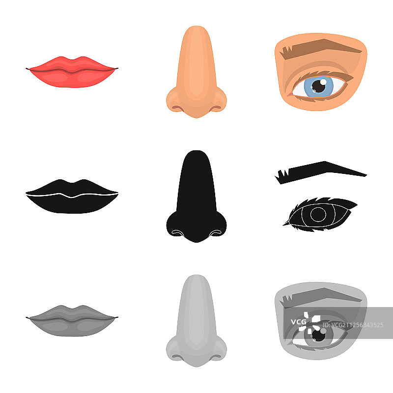 孤立物体身体和人体部位图标集图片素材