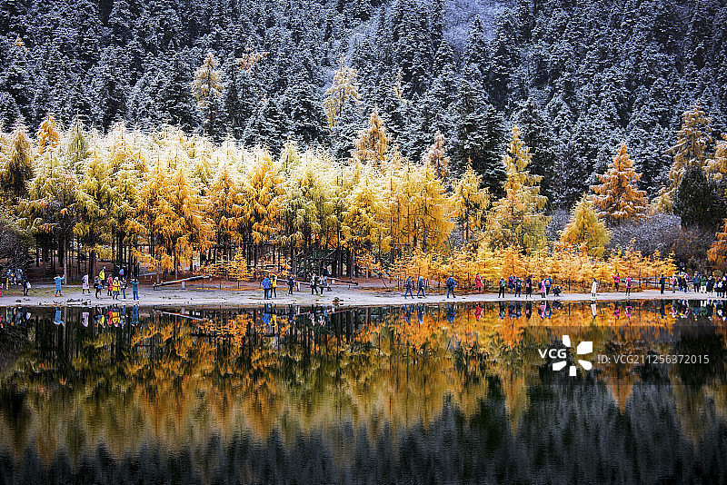 毕棚沟的清晨初雪自然风光图片素材