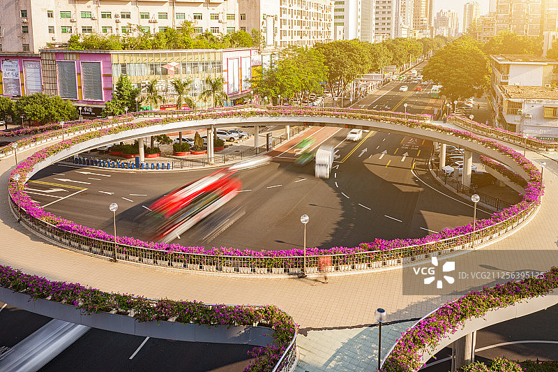 广东珠海 香洲区凤凰北人行天桥盛开的杜鹃花图片素材