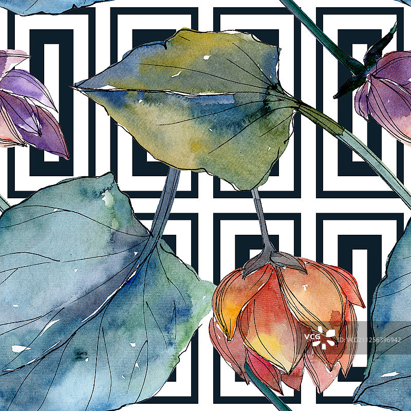 莲花植物花卉，水彩背景插图，无缝背景图案图片素材