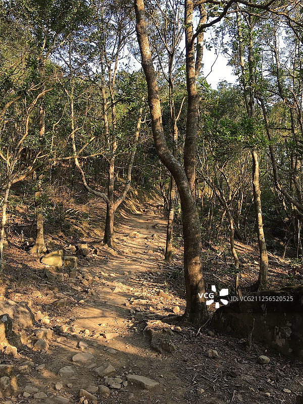 香港马鞍山郊野公园的崎岖山道图片素材