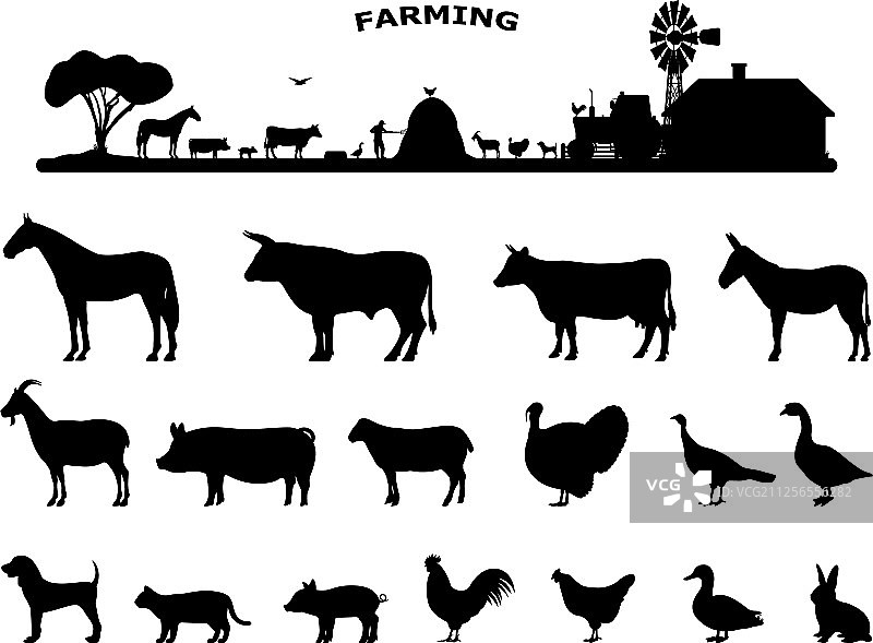 家养农场动物剪影套装图片素材