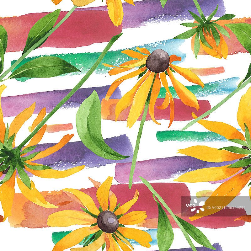 金光菊植物花卉水彩背景插图，无缝背景图案图片素材