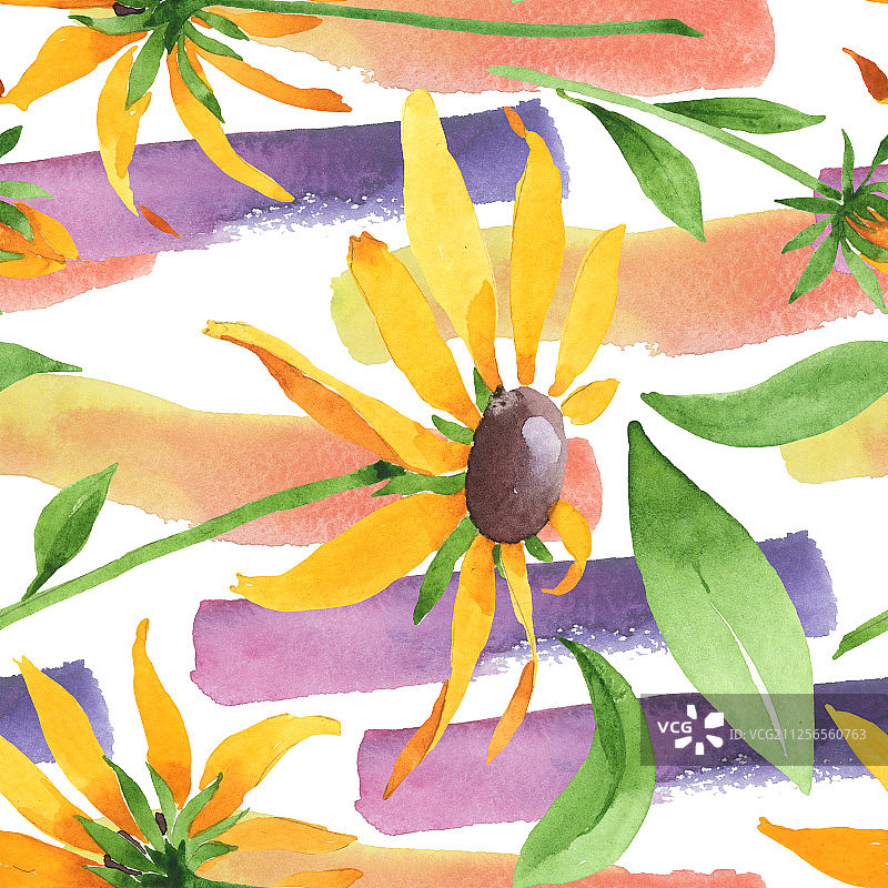 金光菊植物花卉水彩背景插图，无缝背景图案图片素材