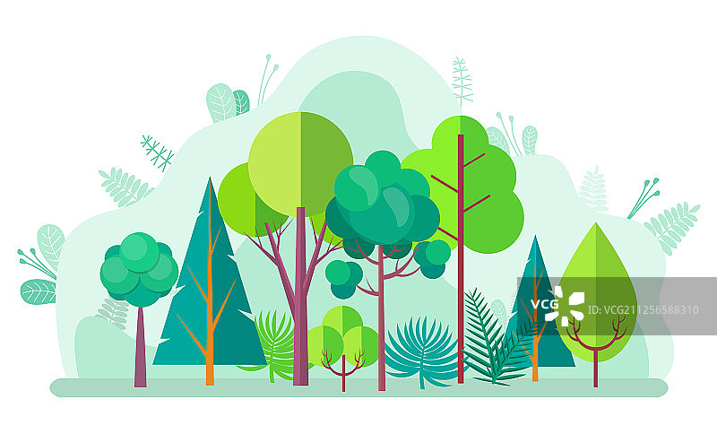 有树丛、冷杉和白桦的绿色森林图片素材
