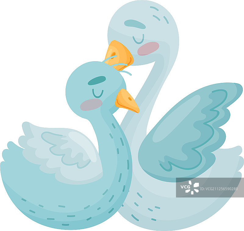 白色背景上的两只天鹅图片素材