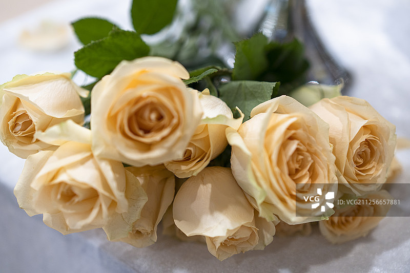 一束放在白色台面上的黄色玫瑰花图片素材
