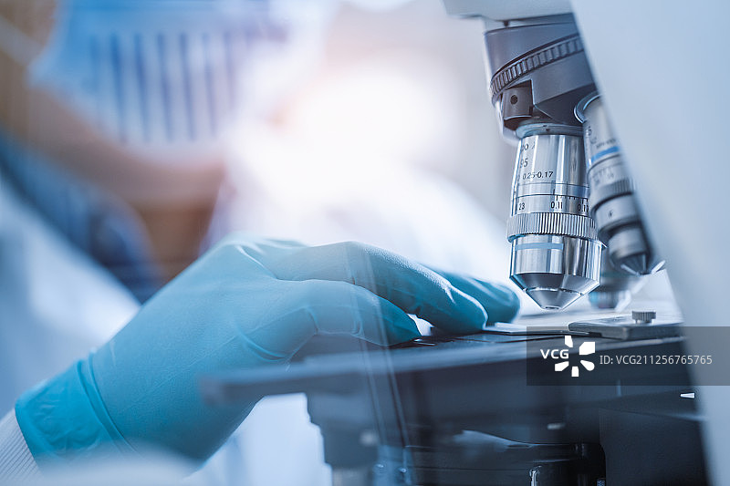 实验人员在显微镜前观察图片素材