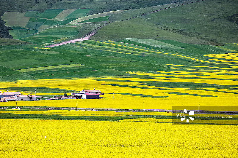 青海门源风光图片素材