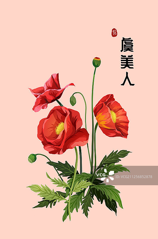 虞美人有字图片素材