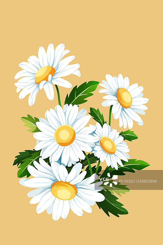 清新雏菊黄色背景图片素材