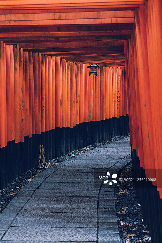 日本京都伏见稻荷大社千鸟居图片素材