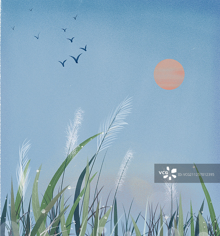 蓝色调日出白露节气插画图片素材