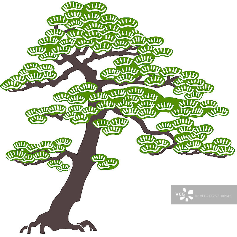 松树图案插画图片素材