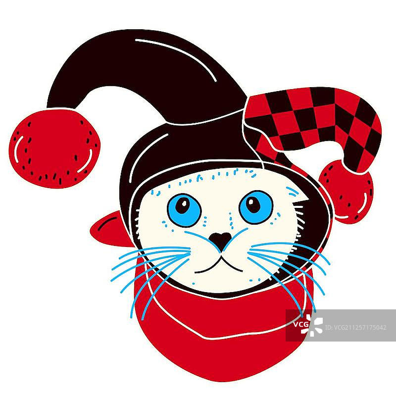 戴小丑帽的猫图片素材