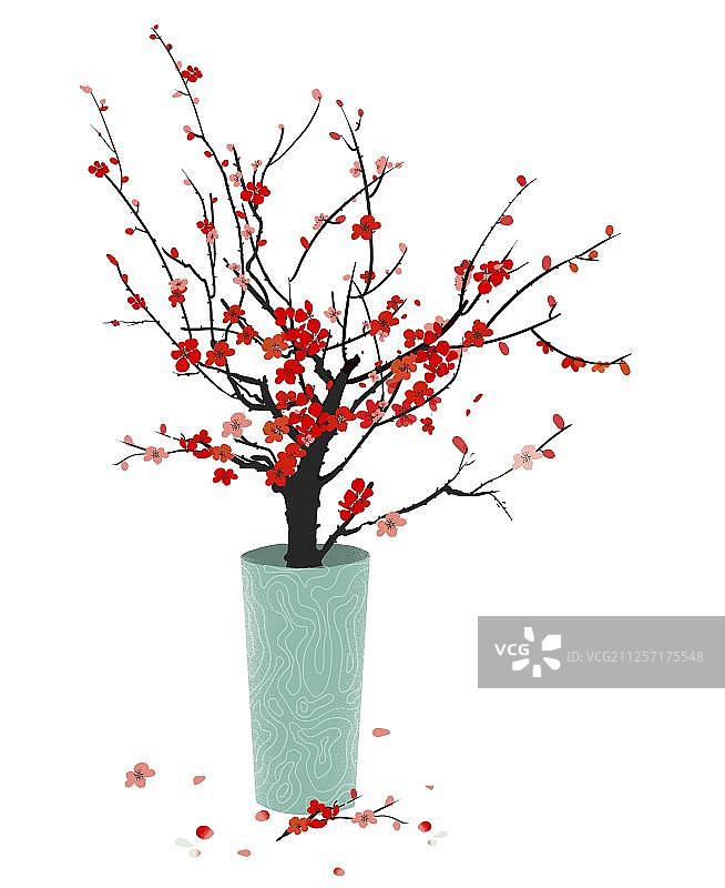花盆里的梅花图片素材