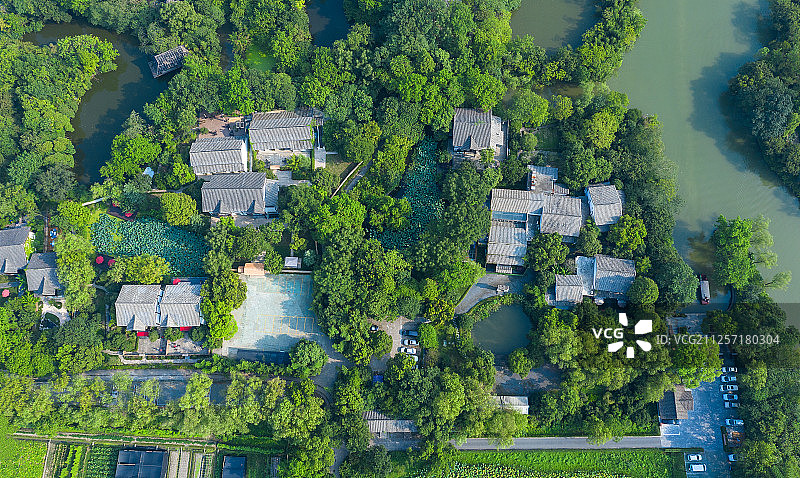 湿地中民宿图片素材