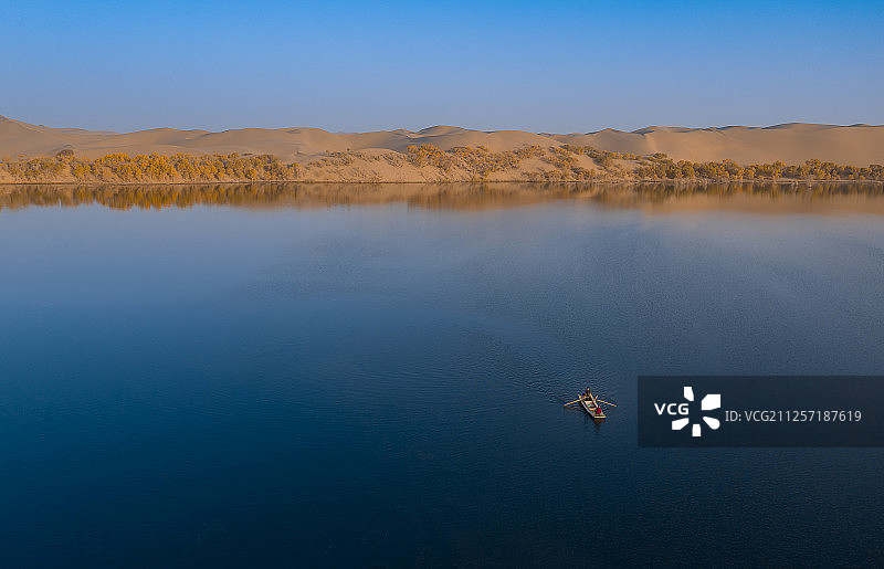 沙漠胡杨图片素材