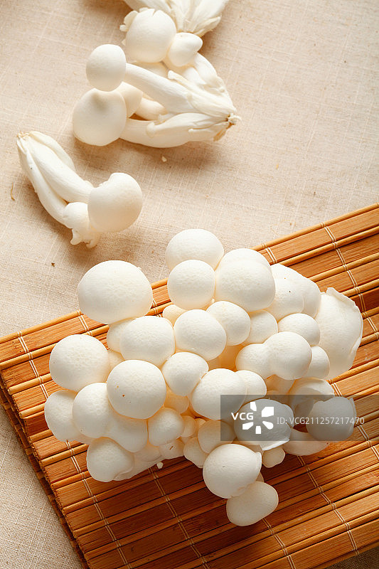 白玉菇图片素材