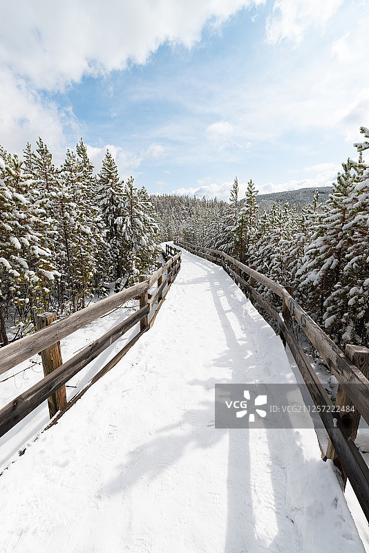 美国怀俄明州黄石公园猛犸象温泉雪景图片素材