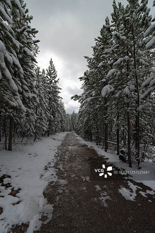 美国怀俄明黄石公园猛犸热泉雪景图片素材