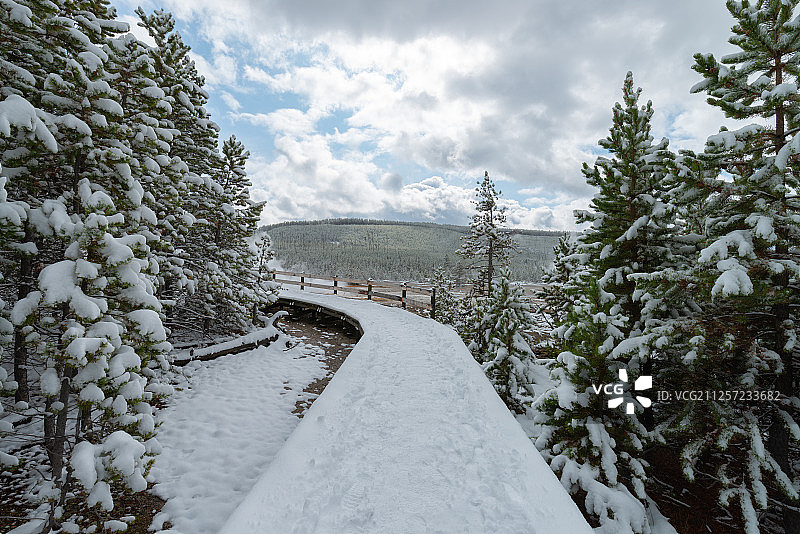 美国怀俄明州黄石公园猛犸热泉雪景风光图片素材