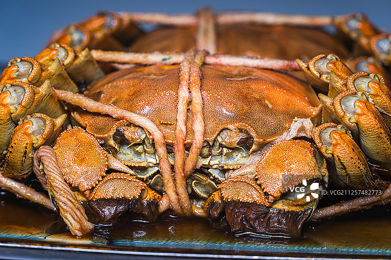 醉蟹图片素材