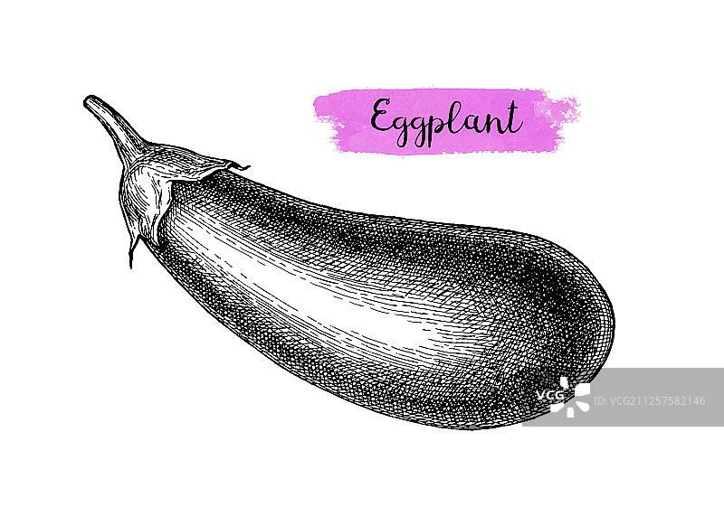 水墨素描茄子图片素材