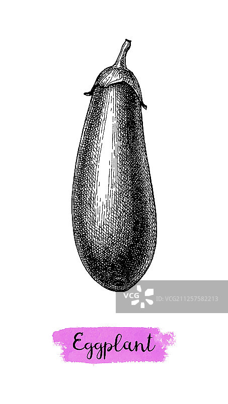 水墨素描茄子图片素材