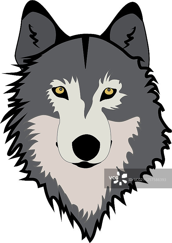 狼的口套图片素材