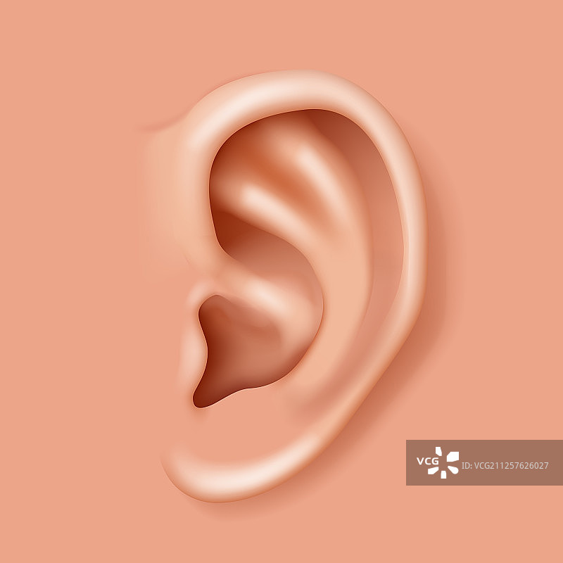 耳部器官听力保健特写图片素材