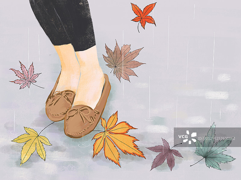秋叶和秋雨图片素材