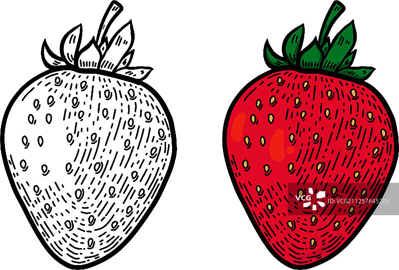 线条风格草莓logo设计元素图片素材