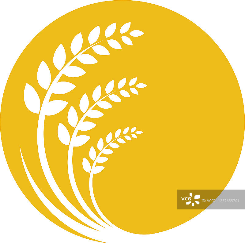 农业小麦图片素材