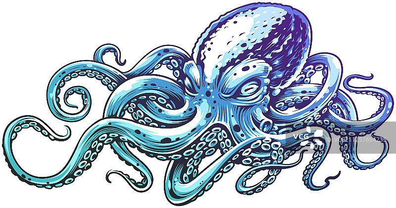 蓝色章鱼艺术图片素材