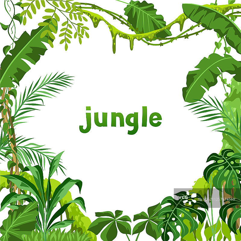 丛林植物背景图片素材