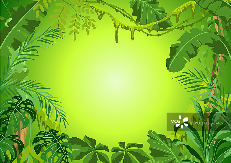 丛林植物背景图片素材