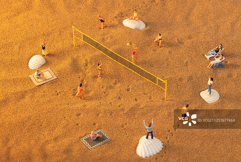 海滩边贝壳上观看美女沙滩排球图片素材