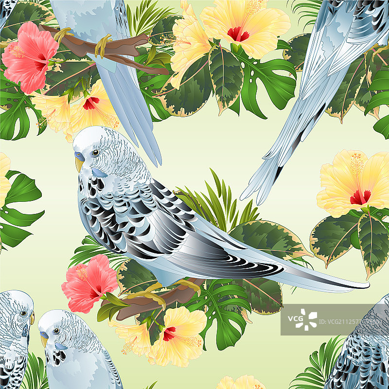 无缝纹理鹦鹉图案图片素材