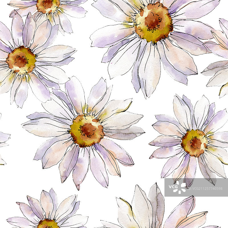 白色雏菊花卉植物水彩背景插画套装无缝背景图案图片素材