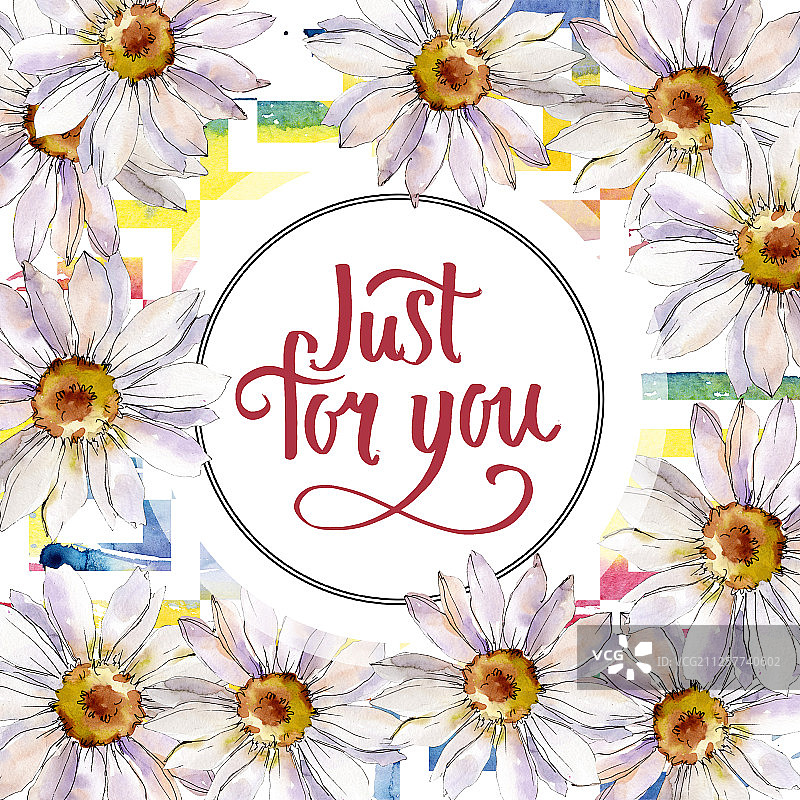 白色雏菊植物花卉水彩背景边框装饰方块图片素材