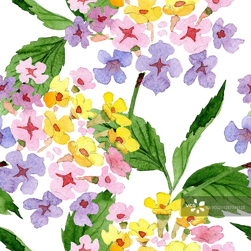 粉色马缨丹花卉水彩背景图案。无缝背景图案。图片素材