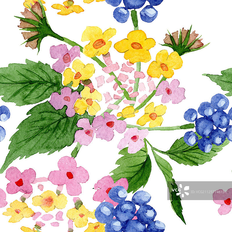 粉色马缨丹花卉水彩背景图案。无缝背景图案。图片素材