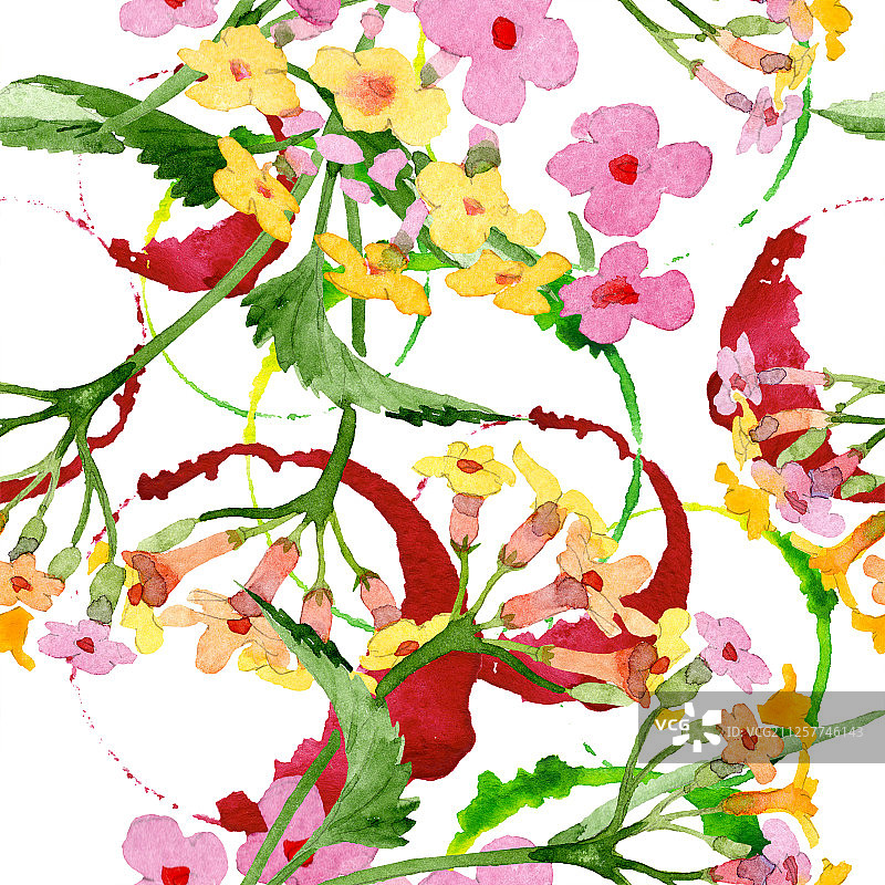 粉色马缨丹花卉水彩背景图案。无缝背景图案。图片素材