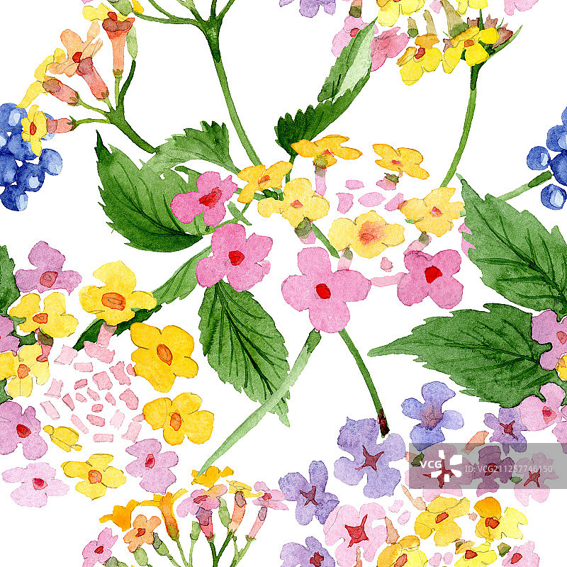 粉色马缨丹花卉水彩背景图案。无缝背景图案。图片素材