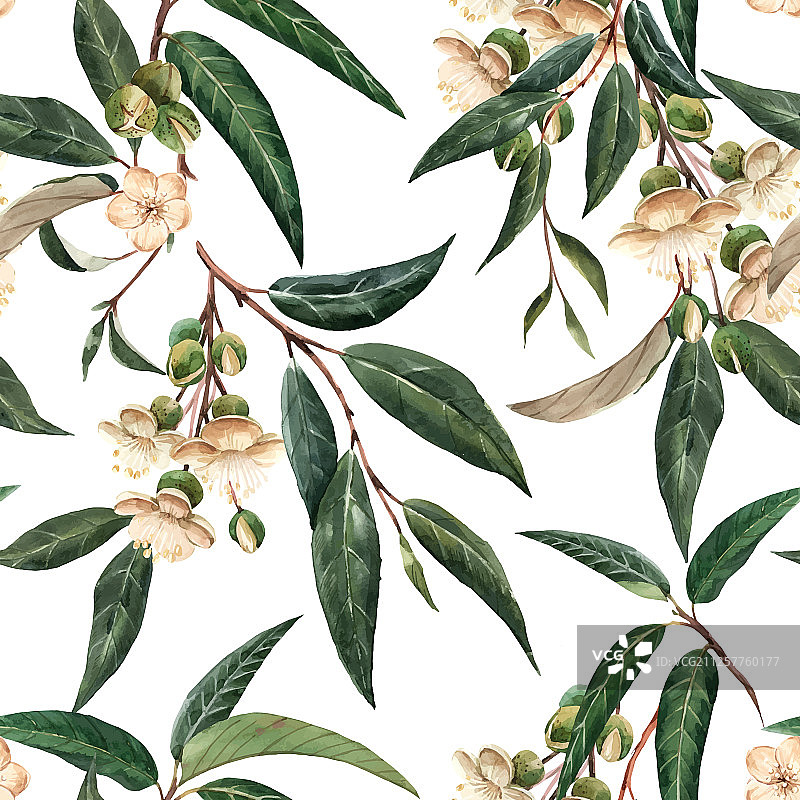 水彩榴莲热带无缝图案图片素材